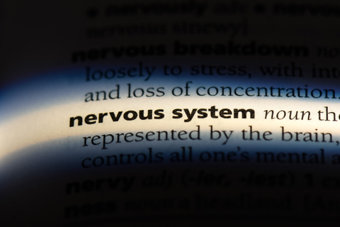 Social Security Disability Nervous System