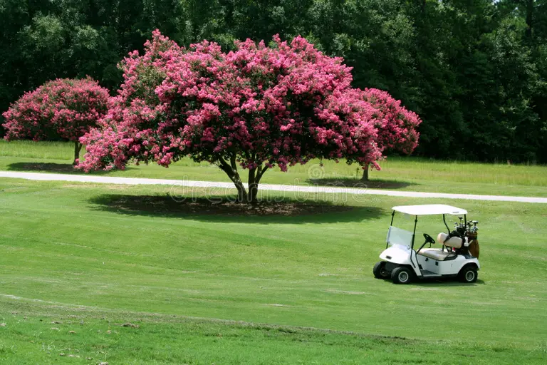 Golf Cart Injury Lawyer in Orlando
